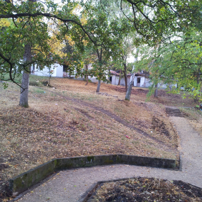 Gralis Bild