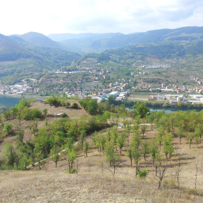 Gralis Bild