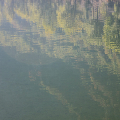 Gralis Bild