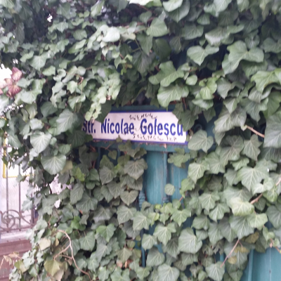 Gralis Bild