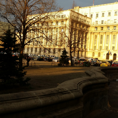 Gralis Bild