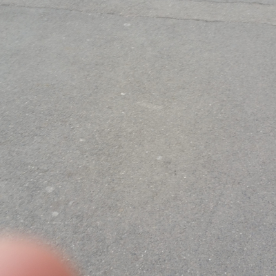 Gralis Bild