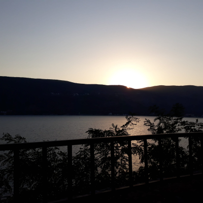 Gralis Bild
