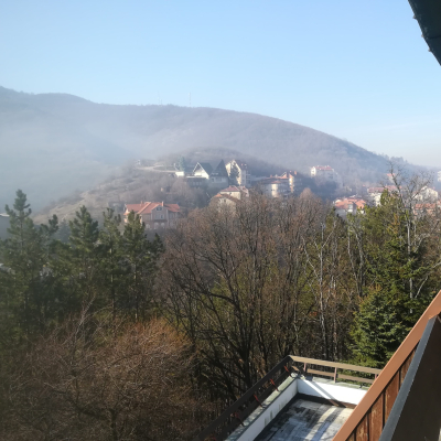 Gralis Bild
