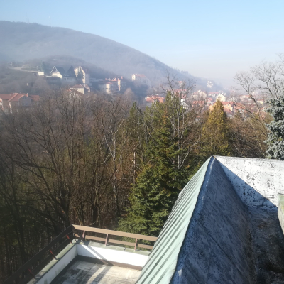 Gralis Bild