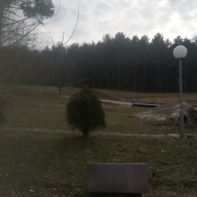Gralis Bild