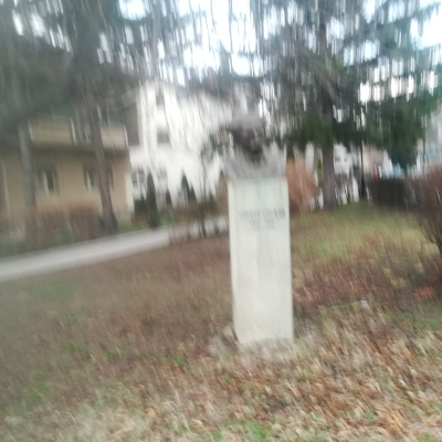 Gralis Bild
