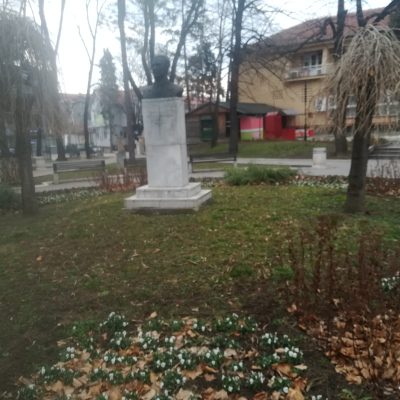 Gralis Bild