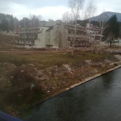 Gralis Bild