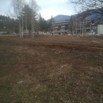 Gralis Bild