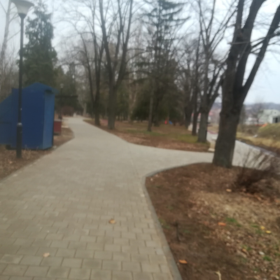 Gralis Bild