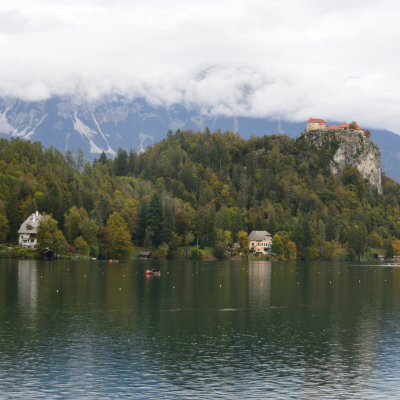 Gralis Bild