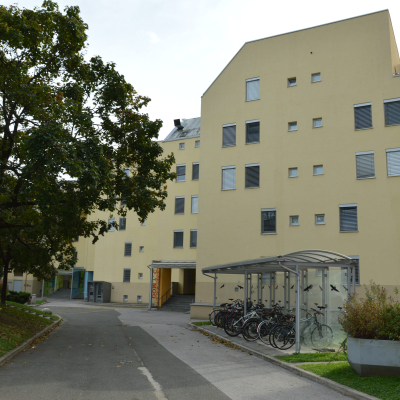 Gralis Bild