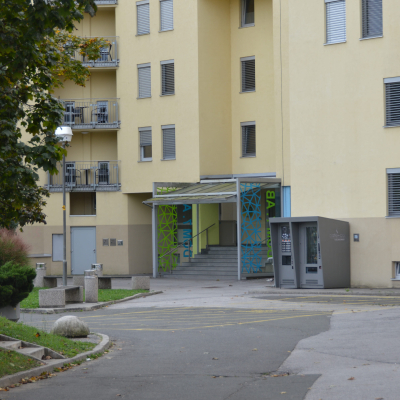 Gralis Bild