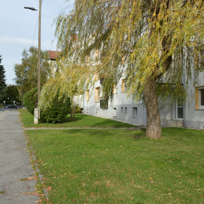 Gralis Bild