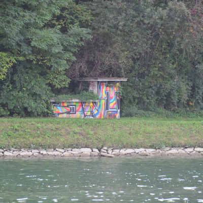 Gralis Bild