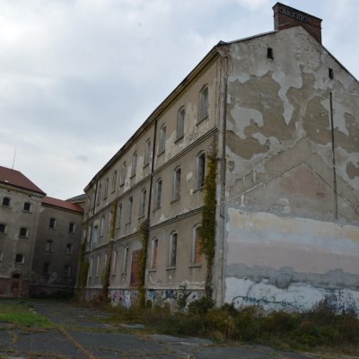 Gralis Bild