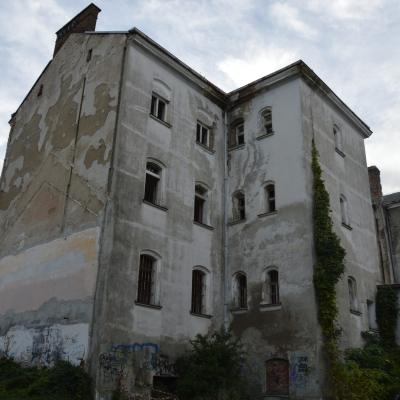 Gralis Bild