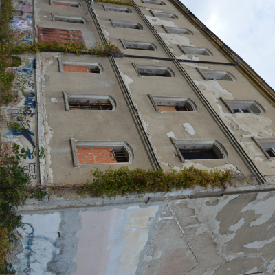 Gralis Bild