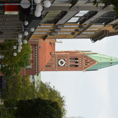 Gralis Bild