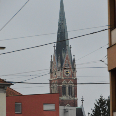 Gralis Bild
