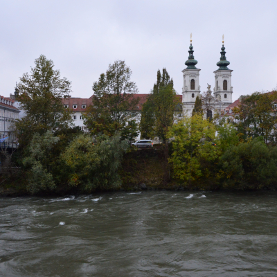 Gralis Bild