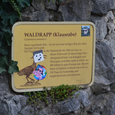 Gralis Bild
