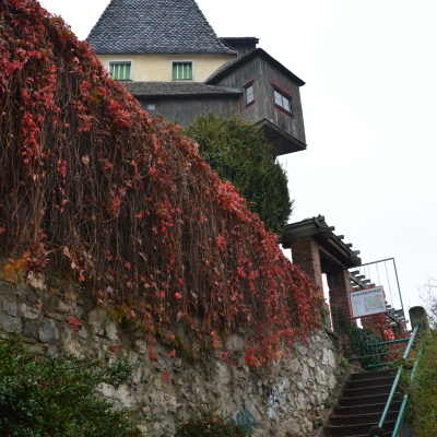 Gralis Bild