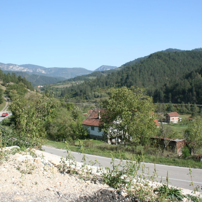 Gralis Bild