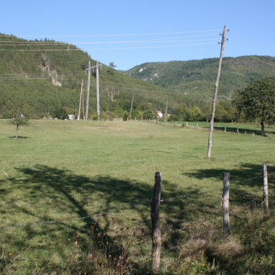 Gralis Bild