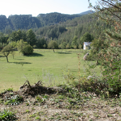 Gralis Bild