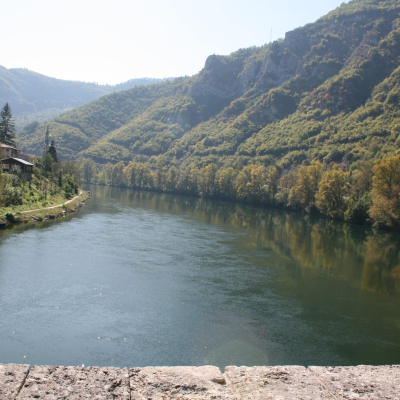 Gralis Bild