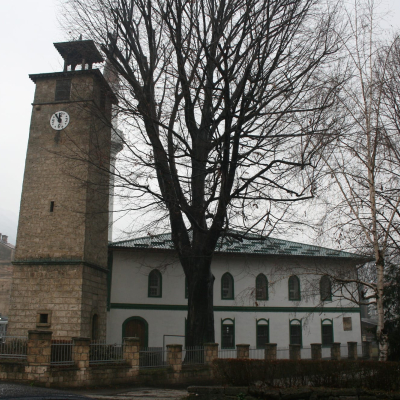 Gralis Bild