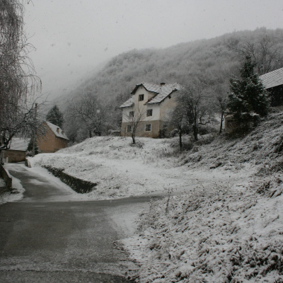 Gralis Bild
