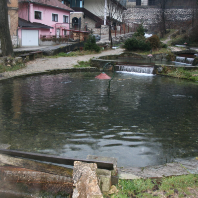 Gralis Bild