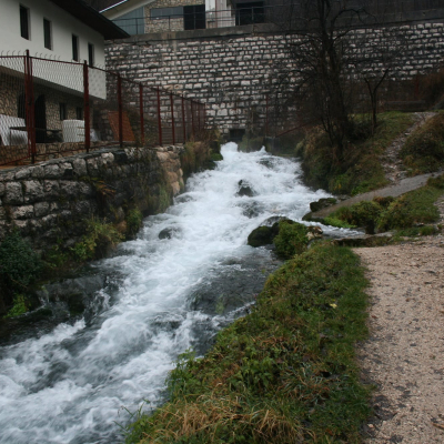 Gralis Bild