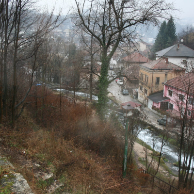 Gralis Bild