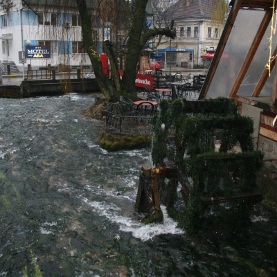 Gralis Bild