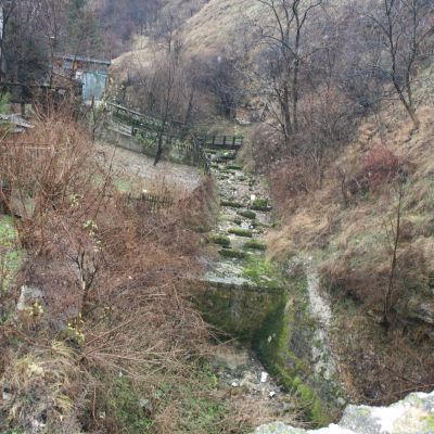 Gralis Bild