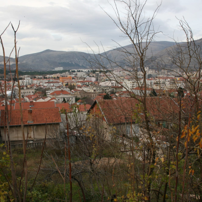 Gralis Bild