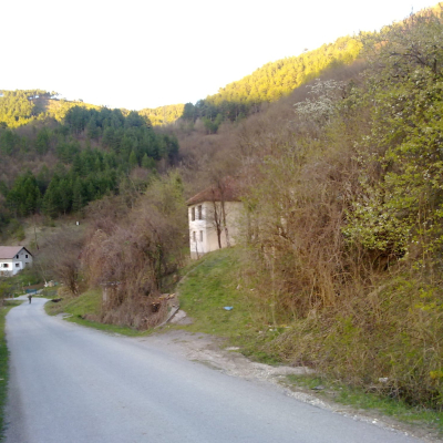 Gralis Bild