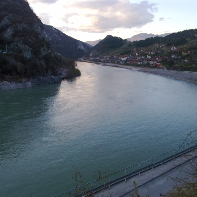 Gralis Bild