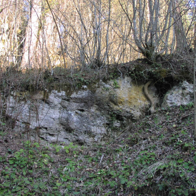 Gralis Bild