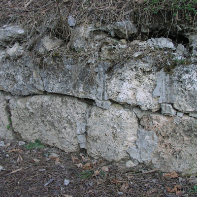 Gralis Bild