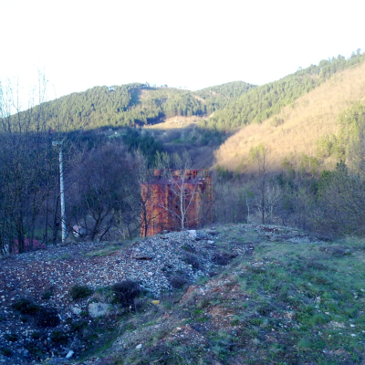 Gralis Bild