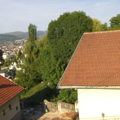 Gralis Bild