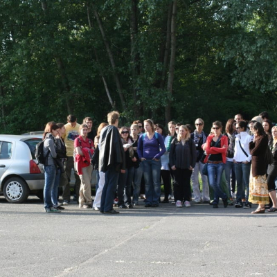 Gralis Bild