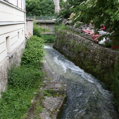 Gralis Bild