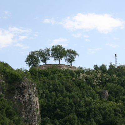 Gralis Bild