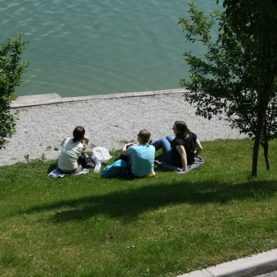 Gralis Bild